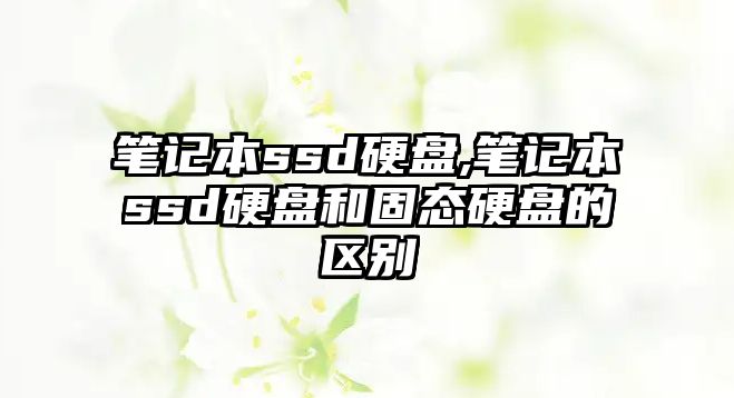 玉翠科技網(wǎng)