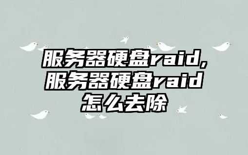 服務器硬盤raid,服務器硬盤raid怎么去除