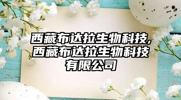 玉翠科技網