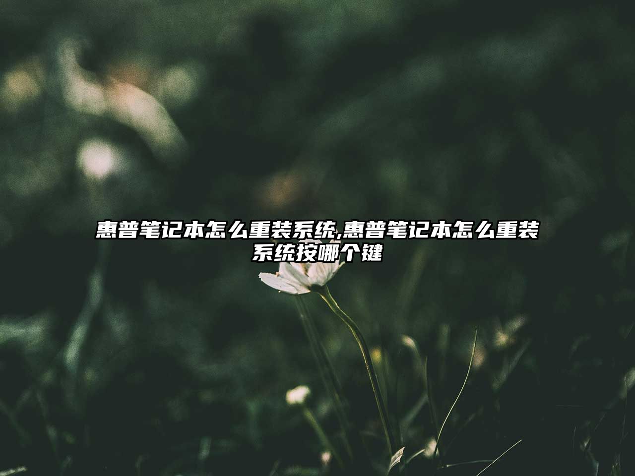 玉翠科技網