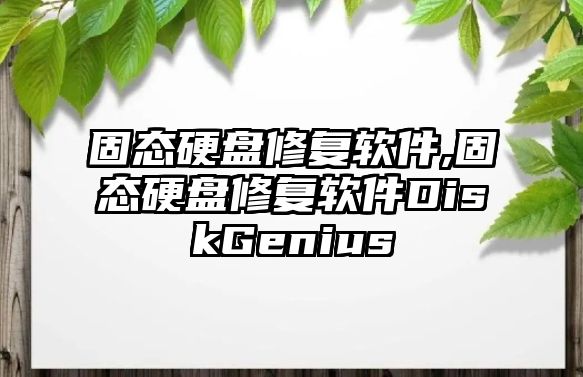 固態(tài)硬盤修復軟件,固態(tài)硬盤修復軟件DiskGenius