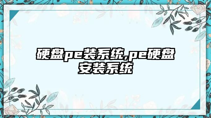 硬盤pe裝系統,pe硬盤安裝系統