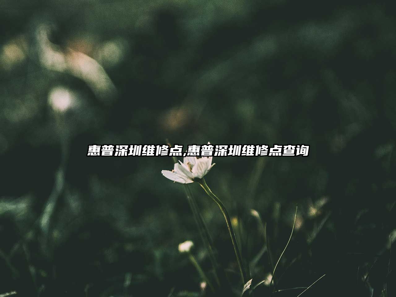 惠普深圳維修點(diǎn),惠普深圳維修點(diǎn)查詢(xún)