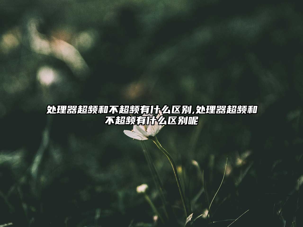 玉翠科技網(wǎng)