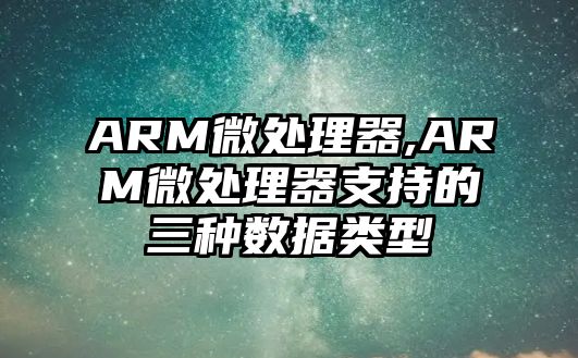 ARM微處理器,ARM微處理器支持的三種數(shù)據(jù)類型