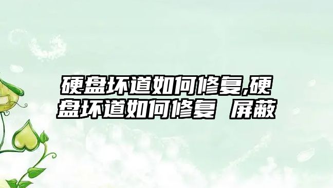 硬盤壞道如何修復,硬盤壞道如何修復 屏蔽