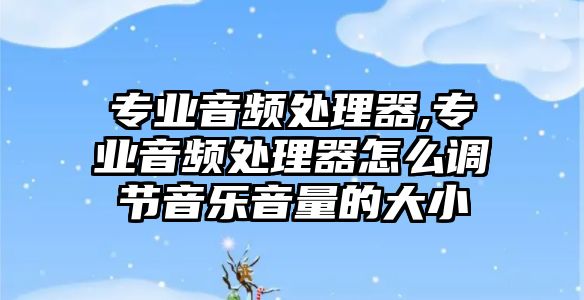 專業音頻處理器,專業音頻處理器怎么調節音樂音量的大小