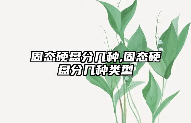 固態硬盤分幾種,固態硬盤分幾種類型