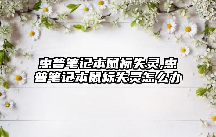 惠普筆記本鼠標失靈,惠普筆記本鼠標失靈怎么辦